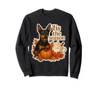 Tis The Season Miniatura Pinscher Perro Otoño Calabaza Sudadera