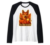 Tis The Season Noruego Lundehund Dog Fall Autumn Pumpkin Camiseta Manga Raglan