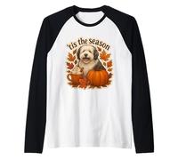 Tis The Season Old English Sheepdog Dog Fall Autumn Pumpkin Camiseta Manga Raglan