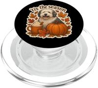 Tis The Season Old English Sheepdog Dog Fall Autumn Pumpkin PopSockets PopGrip para MagSafe