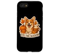 Tis The Season Pembroke Welsh Corgi Dog Otoño-Otoño Calabaza Carcasa para iPhone SE (2020) / 7/8
