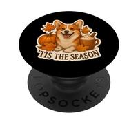 Tis The Season Pembroke Welsh Corgi Dog Otoño-Otoño Calabaza PopSockets PopGrip Adhesivo