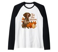 Tis The Season, Perro Puntero alemán de Pelo Corto, café de otoño Camiseta Manga Raglan