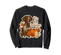 Tis The Season, Perro Puntero alemán de Pelo Corto, café de otoño Sudadera