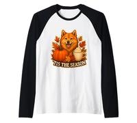 Tis The Season - Perro Spitz finlandés Otoño Calabaza Vintage Camiseta Manga Raglan