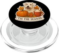 Tis The Season Sealyham Terrier - Taza de Calabaza de otoño PopSockets PopGrip para MagSafe