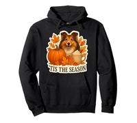 Tis The Season Shetland Sheepdog Fall Autumn Pumpkin Pup Sudadera con Capucha