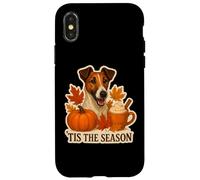 Tis The Season Smooth Fox Terrier - Calabaza de otoño Carcasa para iPhone X/XS