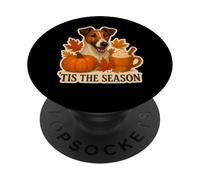 Tis The Season Smooth Fox Terrier - Calabaza de otoño PopSockets PopGrip Adhesivo