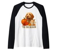 Tis The Season Spinone Italiano Dog Otoño-Otoño Calabaza Linda Camiseta Manga Raglan