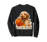Tis The Season Spinone Italiano Dog Otoño-Otoño Calabaza Linda Sudadera