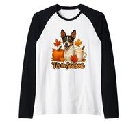 Tis The Season Toy Fox Terrier Perro otoño Calabaza Lindo Camiseta Manga Raglan