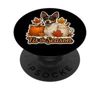 Tis The Season Toy Fox Terrier Perro otoño Calabaza Lindo PopSockets PopGrip Adhesivo