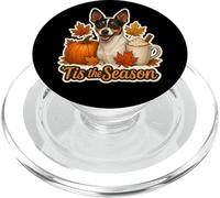 Tis The Season Toy Fox Terrier Perro otoño Calabaza Lindo PopSockets PopGrip para MagSafe