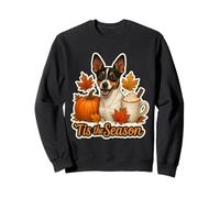 Tis The Season Toy Fox Terrier Perro otoño Calabaza Lindo Sudadera