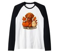 Tis The Season Vizsla Dog Fall Autumn Pumpkin Cup Camiseta Manga Raglan