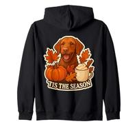 Tis The Season Vizsla Dog Fall Autumn Pumpkin Cup Sudadera con Capucha