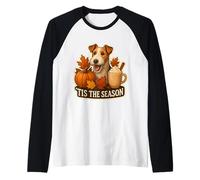 Tis The Season Wire Fox Terrier Perro otoño Calabaza Lindo Camiseta Manga Raglan
