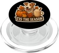 Tis The Season Wire Fox Terrier Perro otoño Calabaza Lindo PopSockets PopGrip para MagSafe