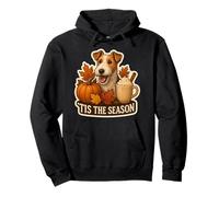 Tis The Season Wire Fox Terrier Perro otoño Calabaza Lindo Sudadera con Capucha