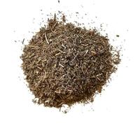 Tisana menta pouilot hoja 100 grs Mentha Pulegium.