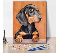 TISHIRON Pintura de animales por números para adultos principiantes, kit de pintura al óleo para perros, perro salchicha sobre lienzo para decoración de pared del hogar, 16 x 20 pulgadas, sin marco