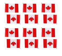 TISHITA 12pcs Mano de Mano Banderas Nacionales Pequeñas Banderas Y - Seleccionar El País, Canadá Bandera