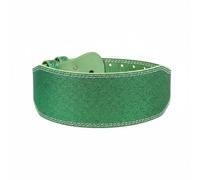 TISHITA Cinturón de Levantamiento de Pesas Cinturón de Entrenamiento Cinturón de Soporte Lumbar Correa Deportiva de Gimnasio con Material PU Resistente Ancho, Xl 130CM, Style Three