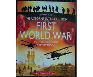Title: The Usborne Introduction to the First World War