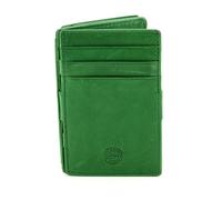 Titular de la tarjeta de crédito Sattlers & Co Kapur verde