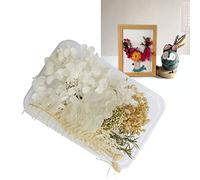 Tixiyu Flores Secas Premium para Moldes de Resina, Flores Secas Ecológicas para Fiesta de Compromiso, 30 G