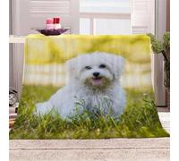 Tizhweqo Manta Perro Animal Mantas Chico Chica Estampado 3D Manta Cosy Soft para Sofa Cama para Adultos y Niños Dormitorio, Cobertor Sofa 100x150 cm Microfibra Cálida Decorativa 6319p