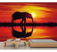 Tizhweqo Papel Pintado Pared Animales Papel Pintado Efecto 3D Animales Salvajes Salón Dormitorio Fotomurales Tejido No Tejido Murales Decorativos Pared Wallpaper for Walls (200x140 cm) 2770v