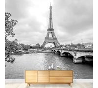 Tizhweqo Papel Pintado Pared París Papel Pintado Efecto 3D Arquitectura Urbana Salón Dormitorio Fotomurales Tejido No Tejido Murales Decorativos Pared Wallpaper for Walls (450x315 cm) 3191v