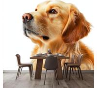 Tizhweqo Papel Pintado Pared Perro Perdiguero de Oro Papel Pintado Efecto 3D Lindo Perro Salón Dormitorio Fotomurales Tejido No Tejido Murales Decorativos Pared Wallpaper for Walls (400x280 cm) 110v