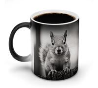 TKJMCSW Taza de café de 325 ml con diseño de ardilla gris claro que cambia de color, tazas de café que cambian de calor con asa, taza mágica sensible al calor para mujeres y hombres, divertida taza de