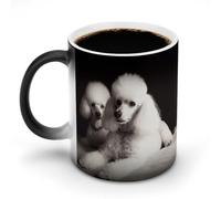 TKJMCSW Taza de café de 325 ml con diseño de caniche francés que cambia de color, tazas de café que cambian de calor con asa, taza mágica sensible al calor para mujeres y hombres, divertida taza de