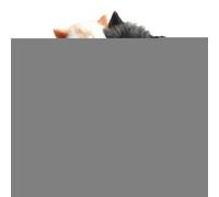 Tktouci Difusor Aromático Para Rejillas - Difusor de Perfume Acrílico en Relieve | Ambientador con Gato Adorable para Viajes en Coche y Uso Diario en Verano