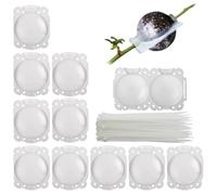 Tkxjry 10 Piezas Caja Cultivo Raíces Plantas, 5 CM Plantas Dispositivo de Enraizamiento, Dispositivo de Injerto de, Reutilizable Bola Propagación, para Injertar y Echar Raíces en Jardines