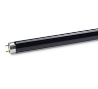 TL 6W BLB 1FM/10X25CC