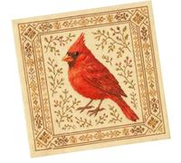 Tmboryuu Conjunto de artesanía de bordado de ave para y niños, guía de patrones detallada, materiales de tela, proyecto artístico, conjunto de bordado artístico para hogar