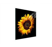 TMK ArtDeko Placa protectora de vitrocerámica 45 x 52 cm 1 pieza cocina eléctrica universal para inducción protección contra salpicaduras tabla de cortar de vidrio templado, flor