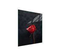 TMK ArtDeko Placa protectora de vitrocerámica 45 x 52 cm 1 pieza cocina eléctrica universal para inducción protección contra salpicaduras tabla de cortar de vidrio templado, rosa