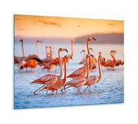 TMK Placa Protectora de Vitrocerámica 60 x 52 cm 1 Pieza | Cocina Eléctrica Universal, Para Inducción, Protección contra Salpicaduras, Tabla de Cortar de Vidrio Templado