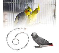 Tnfeeon Cadena de Pie de Pájaro de Acero Inoxidable Herramienta de Entrenamiento Segura para Loros Anillo de Tobillo de Metal Resistente a la Oxidación Previene el Vuelo sin Supervisión Cuatro (Loro