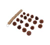 Tnfeeon Juguete para Masticar Conos de Pino para Loros, Madera y Cuerda de Cáñamo, Salud para Periquitos, Cacatúas, Agapornis y Animales Pequeños (L)