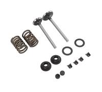Tnfeeon Kit de Piezas de Hierro con Válvula de Admisión de Escape para Generadores Enfriados por Aire de un Cilindro que Garantizan un Funcionamiento Eficiente Compatible con Cortadoras de Césped con