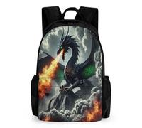 TNFHSOFT Dragón Mochila Escolar Para Niños Mochilas Primaria Mochila Con Estampado De Bolsa De Viaje Portátil Con Deportivos De Gran Capacidad 42x30.5cm