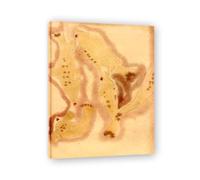 TNGHHSGA Dibujar la forma de un pezCuadro Modernista Industrial - Arte Abstracto en Lienzo, Decoración Moderna para Hogar y Coleccionismo 50x65cm Lienzo envuelto