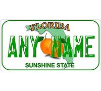 TNND Placa de matrícula personalizada de Florida, estilo Miami, 15,2 x 30,5 cm